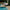 Corded vs. Cordless Pool Vacuum: Which Is Better for Large Pools?