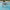 CHASING L1 Ultra Intelligent Cordless Pool Cleaner
